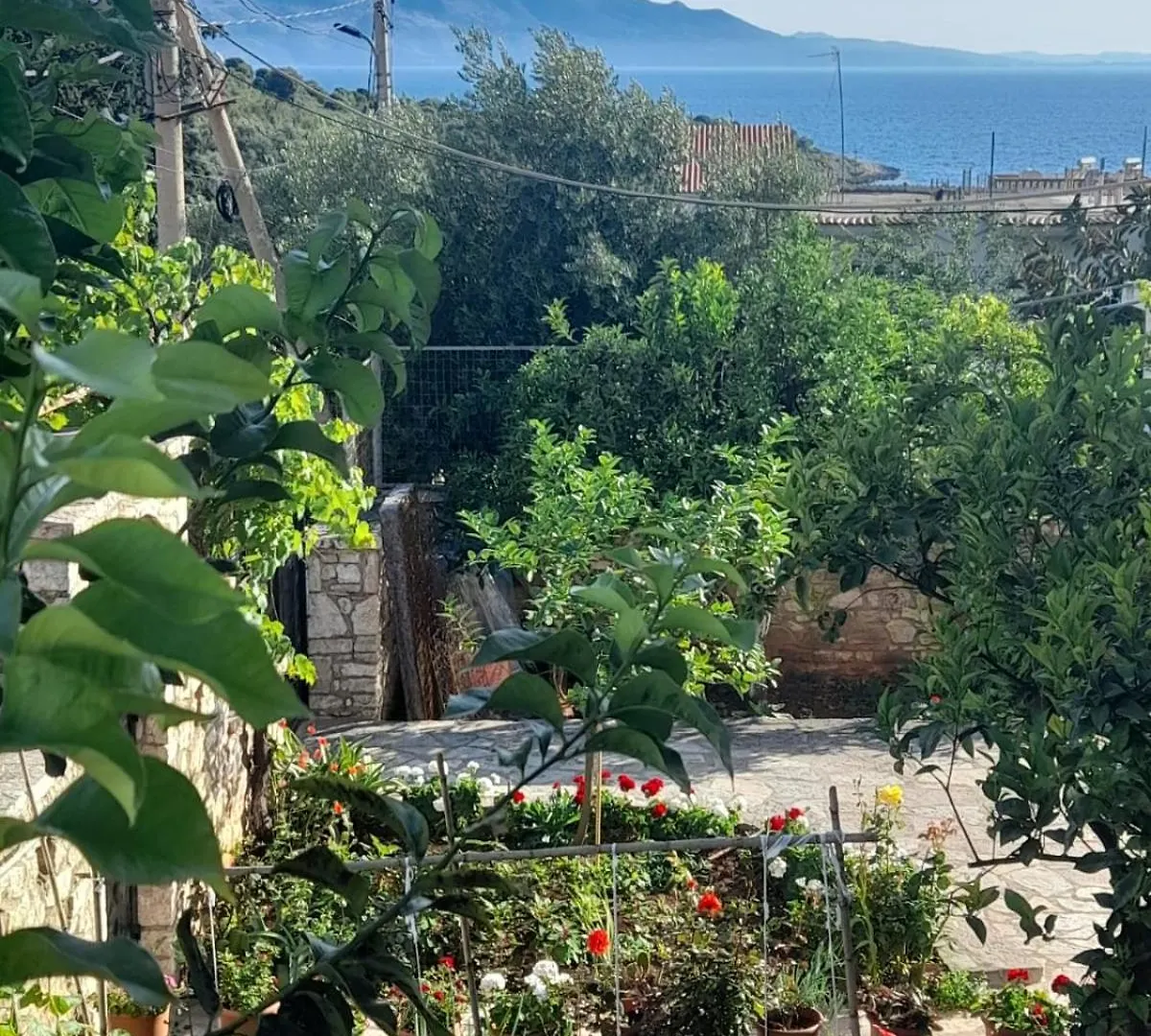 Flor Apartament Sarandë Apartamento